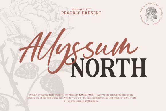 Allyssum North: A Playful Font for Creative Projects