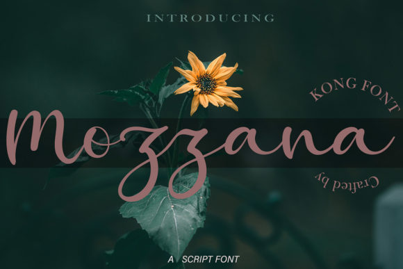 Mozzana: A Playful Font for Web Design