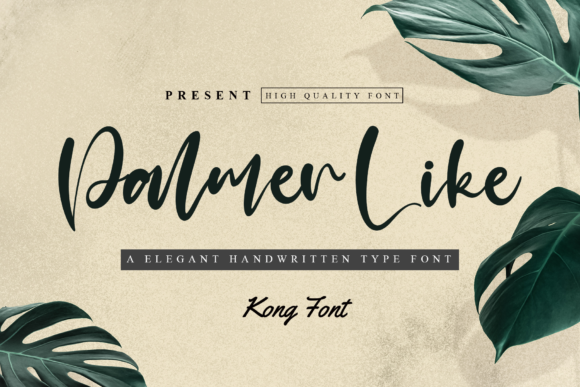 Palmer Like: A Font That Elevates Small Business