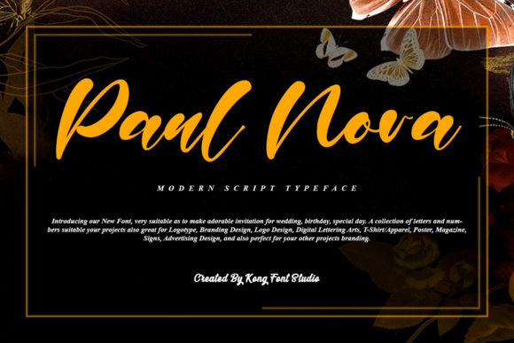 Paul Nora: A Playful Font for Creative Projects