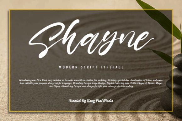 Shayne: A Playful Handwritten Font