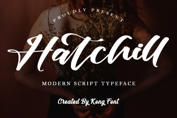 Use Hatchill for Creative Campaigns